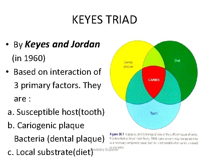 KEYES TRIAD • By Keyes and Jordan (in 1960) • Based on interaction of