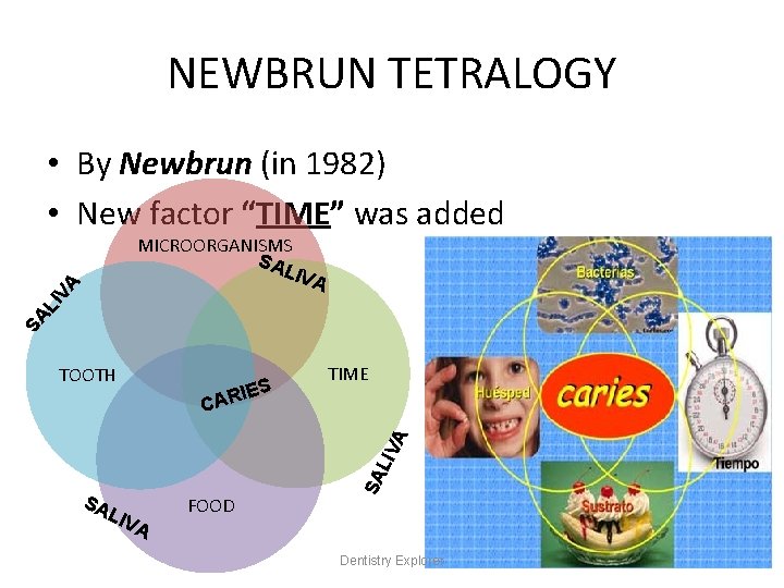 NEWBRUN TETRALOGY • By Newbrun (in 1982) • New factor “TIME” was added MICROORGANISMS