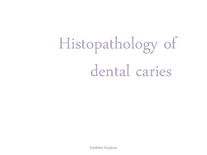 Histopathology of dental caries Dentistry Explorer 