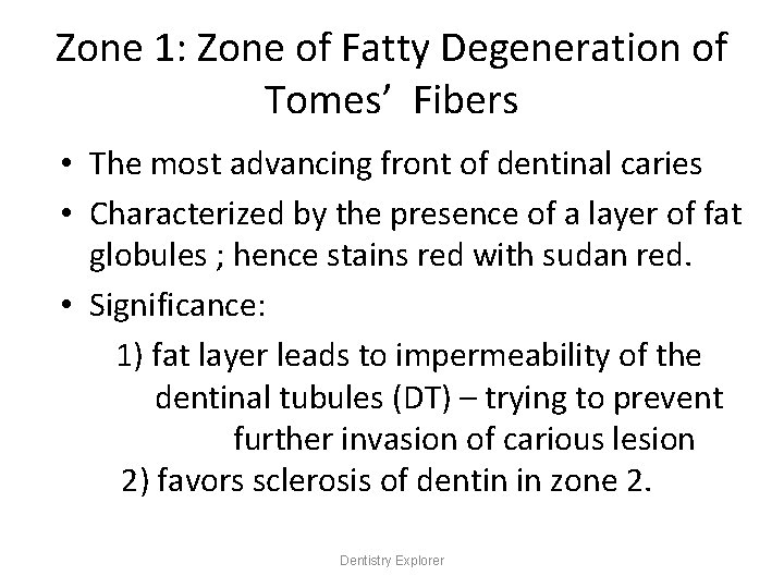 Zone 1: Zone of Fatty Degeneration of Tomes’ Fibers • The most advancing front