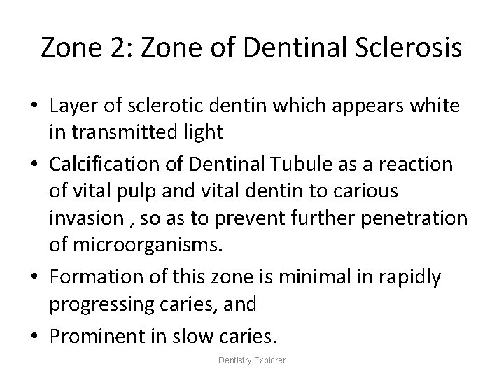Zone 2: Zone of Dentinal Sclerosis • Layer of sclerotic dentin which appears white