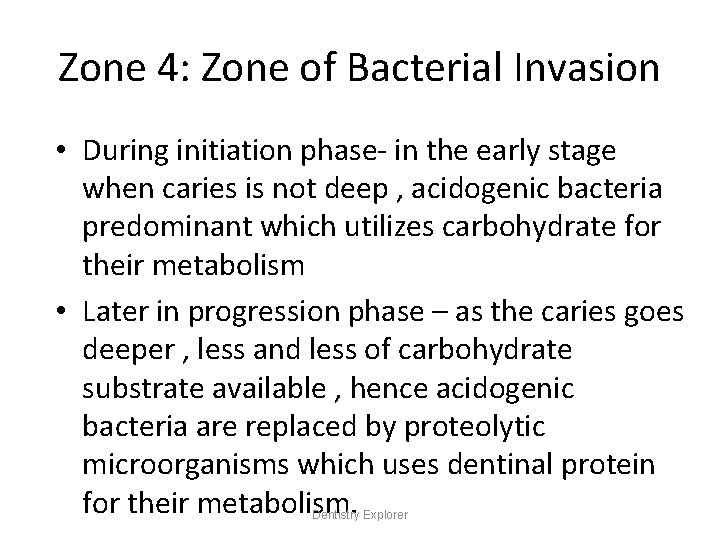 Zone 4: Zone of Bacterial Invasion • During initiation phase- in the early stage
