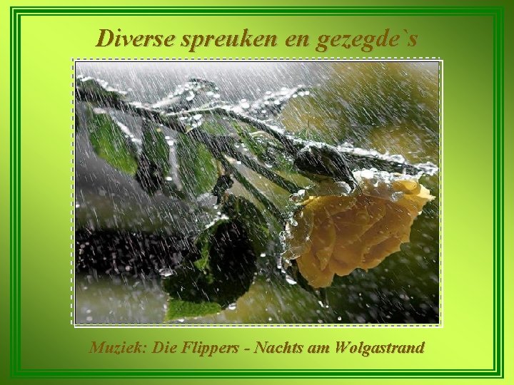 Diverse spreuken en gezegde`s Muziek: Die Flippers - Nachts am Wolgastrand 