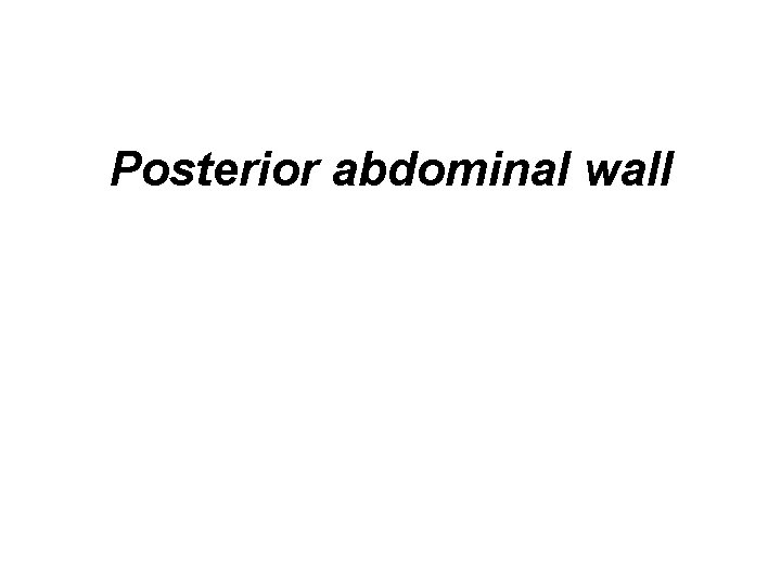 Posterior abdominal wall 