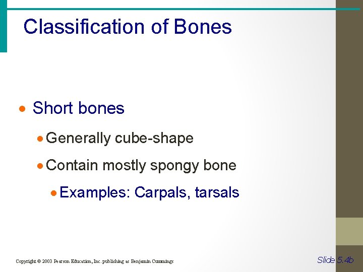 Classification of Bones · Short bones · Generally cube-shape · Contain mostly spongy bone