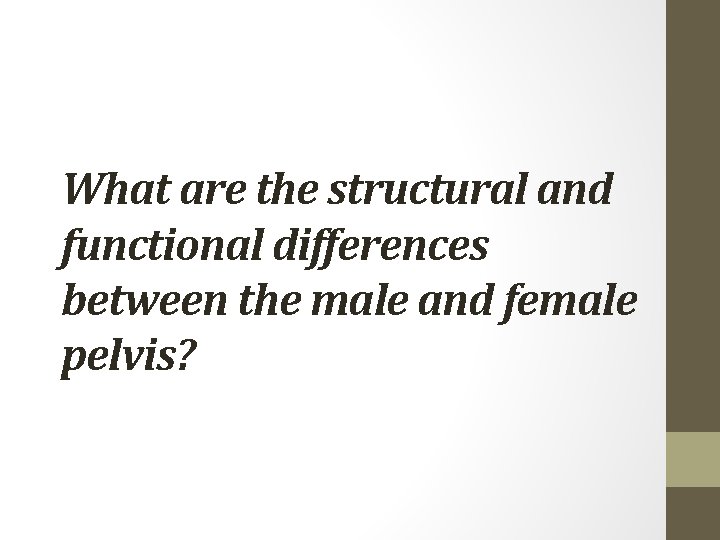 What are the structural and functional differences between the male and female pelvis? 