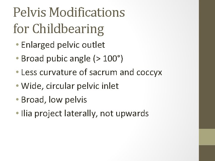 Pelvis Modifications for Childbearing • Enlarged pelvic outlet • Broad pubic angle (> 100°)