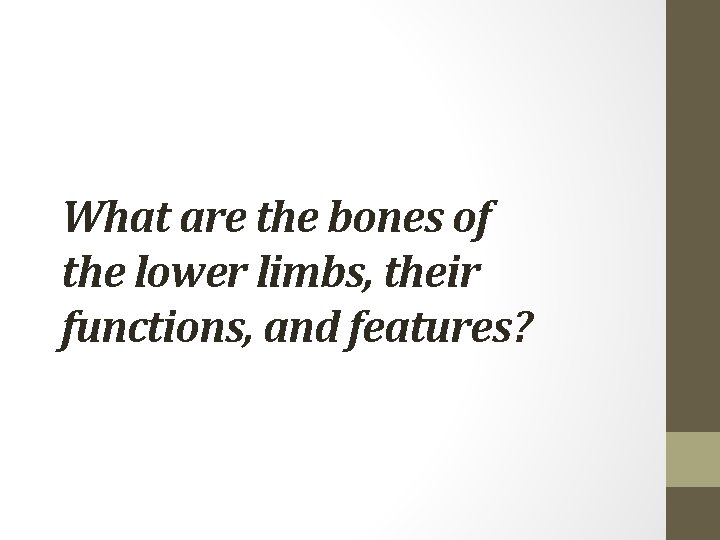 What are the bones of the lower limbs, their functions, and features? 