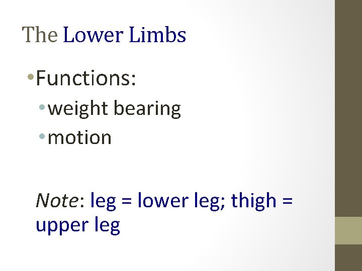 The Lower Limbs • Functions: • weight bearing • motion Note: leg = lower