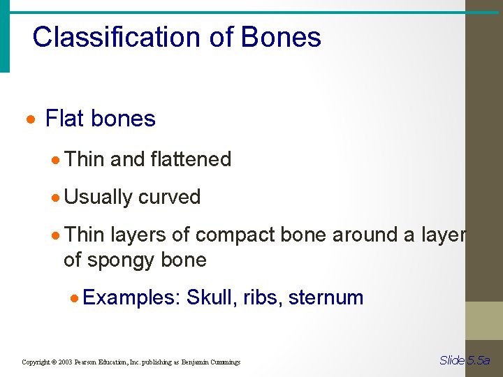 Classification of Bones · Flat bones · Thin and flattened · Usually curved ·