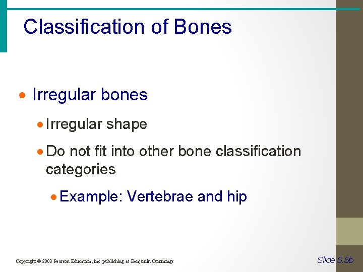 Classification of Bones · Irregular bones · Irregular shape · Do not fit into