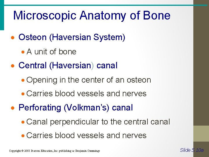 Microscopic Anatomy of Bone · Osteon (Haversian System) · A unit of bone ·