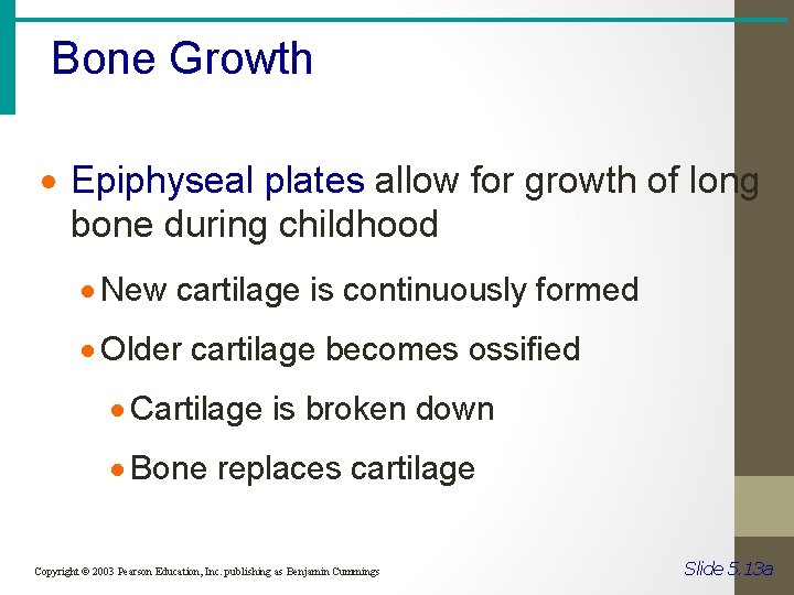 Bone Growth · Epiphyseal plates allow for growth of long bone during childhood ·