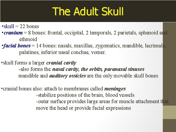 The Adult Skull • skull = 22 bones • cranium = 8 bones: frontal,