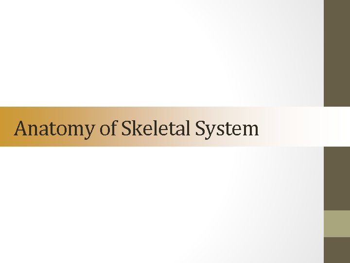 Anatomy of Skeletal System 