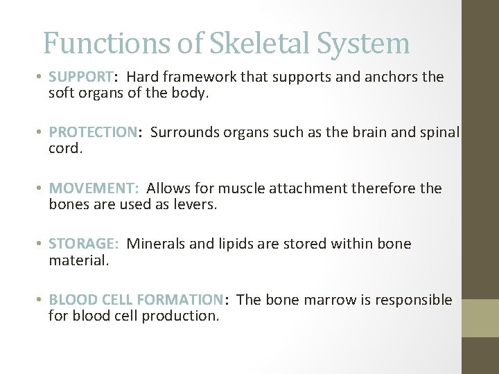 Functions of Skeletal System • SUPPORT: Hard framework that supports and anchors the soft