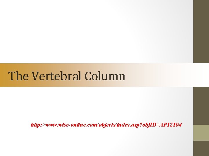 The Vertebral Column http: //www. wisc-online. com/objects/index. asp? obj. ID=AP 12104 