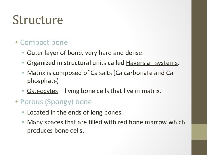 Structure • Compact bone • Outer layer of bone, very hard and dense. •