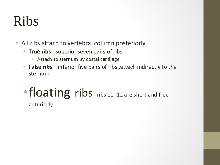 Ribs • All ribs attach to vertebral column posteriorly • True ribs - superior