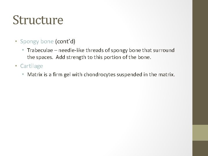 Structure • Spongy bone (cont’d) • Trabeculae – needle-like threads of spongy bone that