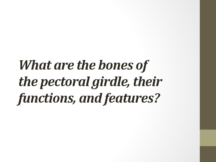 What are the bones of the pectoral girdle, their functions, and features? 