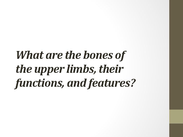 What are the bones of the upper limbs, their functions, and features? 