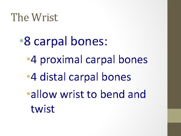 The Wrist • 8 carpal bones: • 4 proximal carpal bones • 4 distal