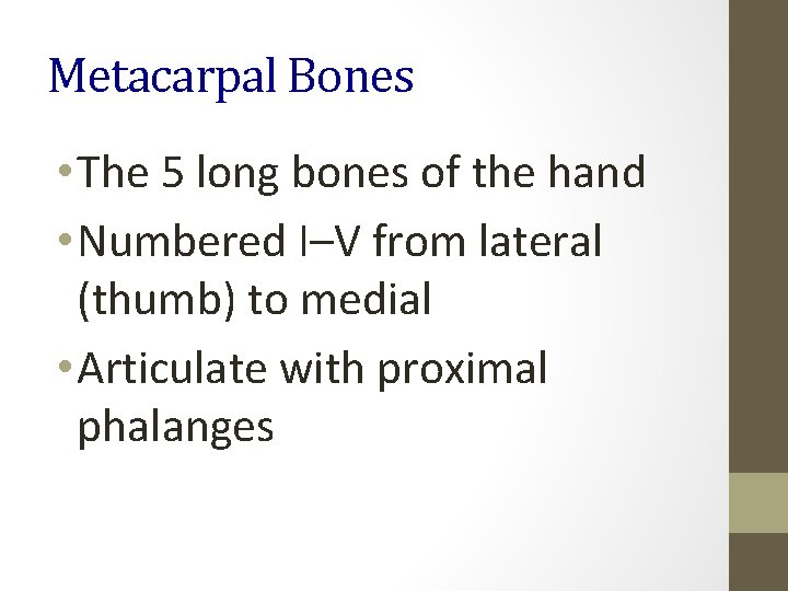 Metacarpal Bones • The 5 long bones of the hand • Numbered I–V from