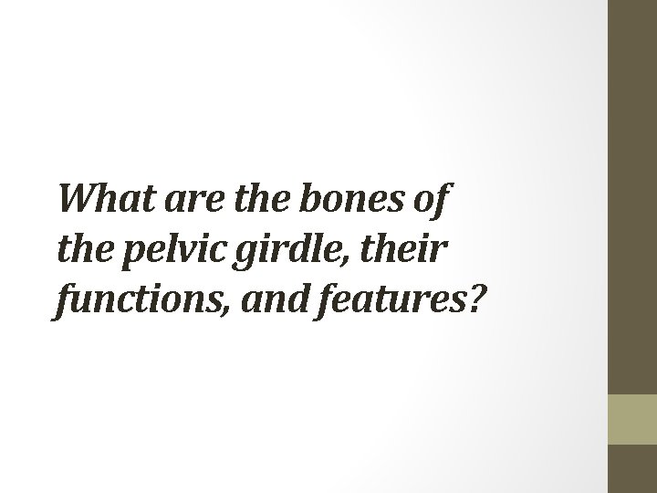 What are the bones of the pelvic girdle, their functions, and features? 