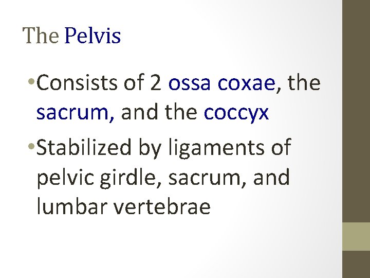 The Pelvis • Consists of 2 ossa coxae, the sacrum, and the coccyx •