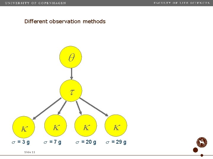 Different observation methods =3 g Slide 11 =7 g = 20 g = 29