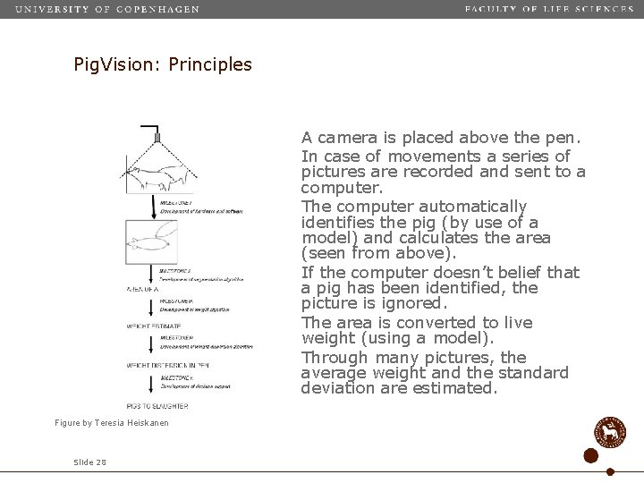 Pig. Vision: Principles A camera is placed above the pen. In case of movements