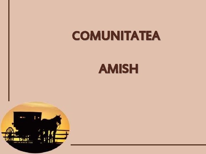 COMUNITATEA AMISH 
