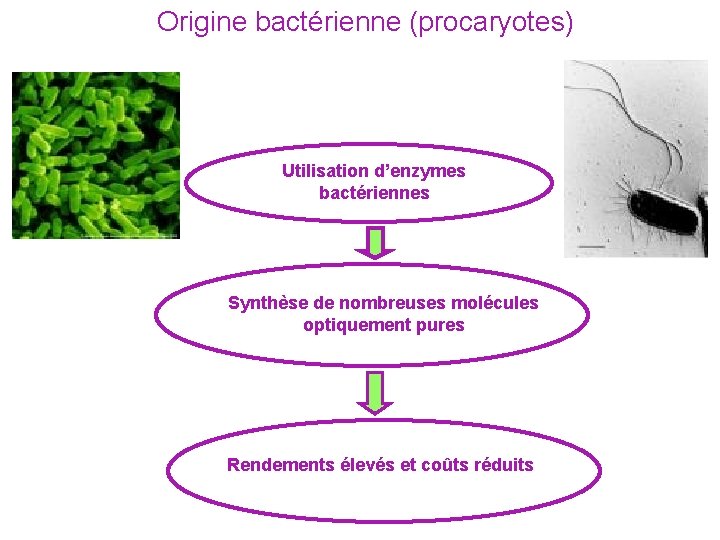 Origine bactérienne (procaryotes) Utilisation d’enzymes bactériennes Synthèse de nombreuses molécules optiquement pures Rendements élevés