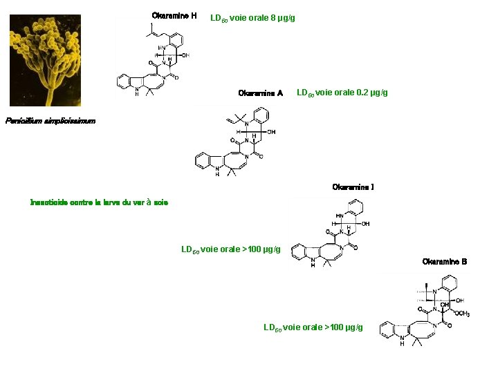 Okaramine H LD 50 voie orale 8 μg/g Okaramine A LD 50 voie orale