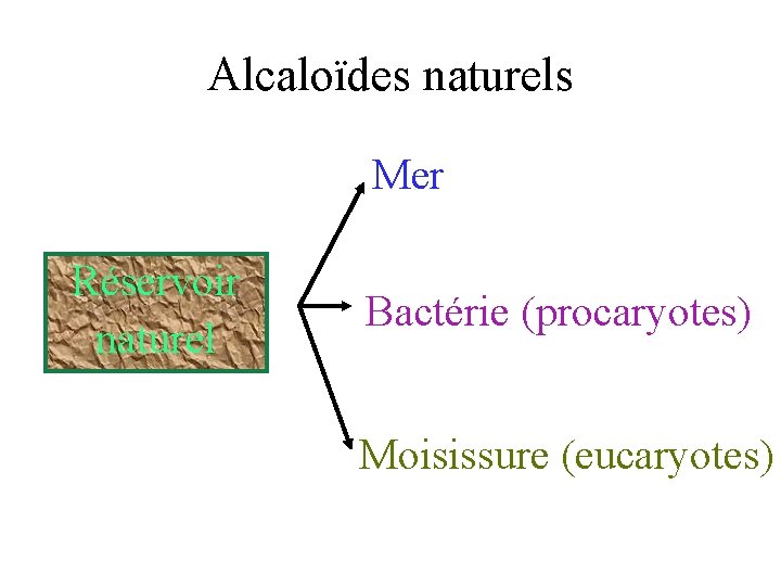 Alcaloïdes naturels Mer Réservoir naturel Bactérie (procaryotes) Moisissure (eucaryotes) 