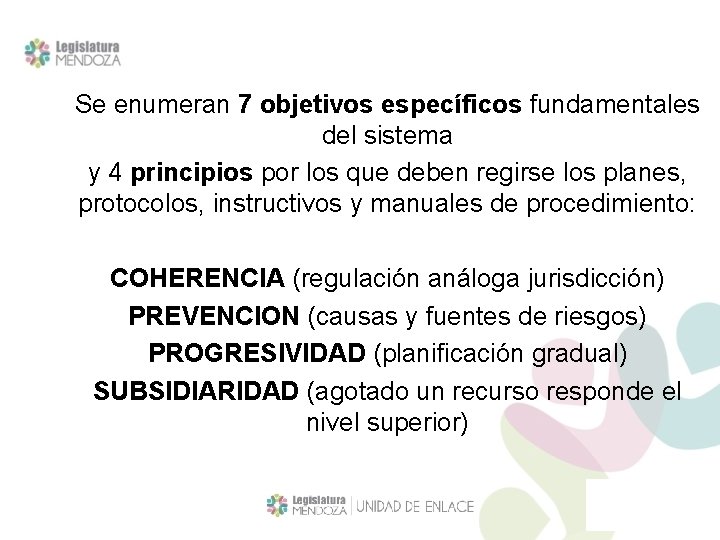 Se enumeran 7 objetivos específicos fundamentales del sistema y 4 principios por los que