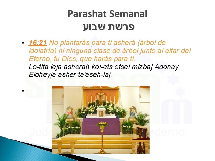 Parashat Semanal פרשת שבוע • 16: 21 No plantarás para ti asherá (árbol de