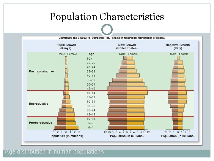Population Characteristics Age distribution in human populations 