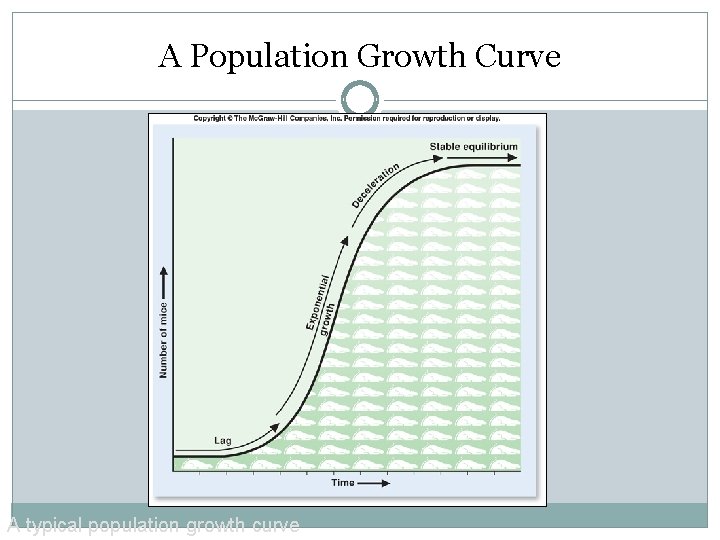 A Population Growth Curve A typical population growth curve 