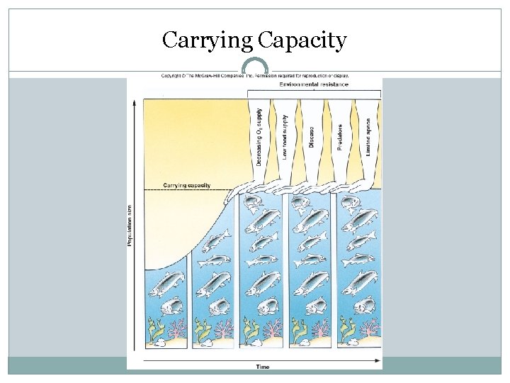 Carrying Capacity 