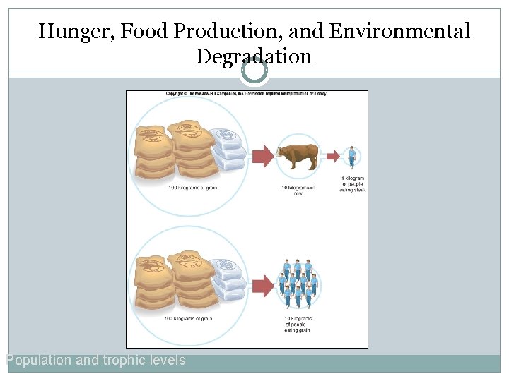 Hunger, Food Production, and Environmental Degradation Population and trophic levels 