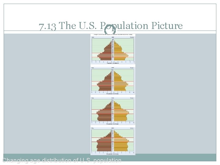 7. 13 The U. S. Population Picture Changing age distribution of U. S. population