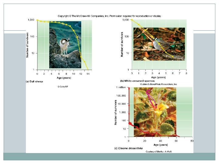 Figure 07_03 