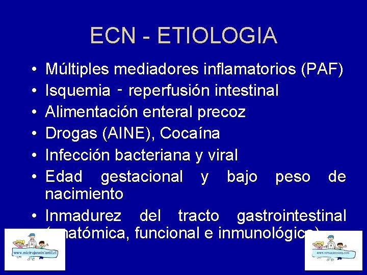 ECN - ETIOLOGIA • • • Múltiples mediadores inflamatorios (PAF) Isquemia ‑ reperfusión intestinal