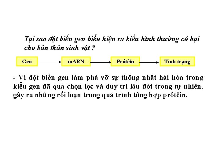 Tại sao đột biến gen biểu hiện ra kiểu hình thường có hại cho