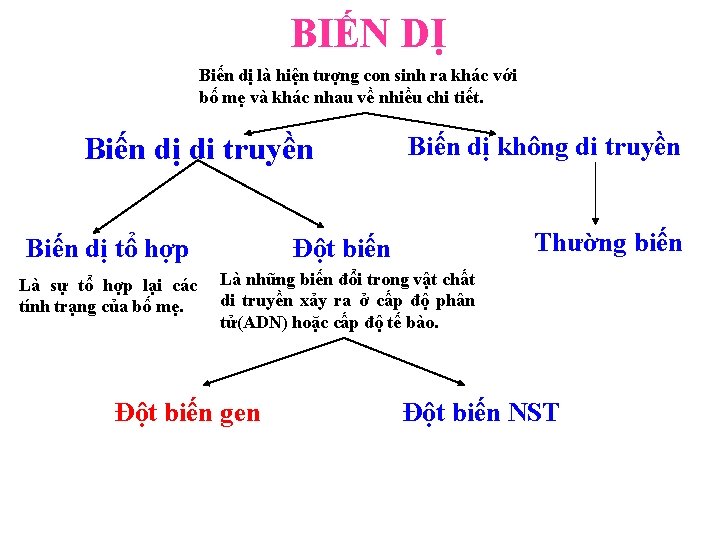 BIẾN DỊ Biến dị là hiện tượng con sinh ra khác với bố mẹ