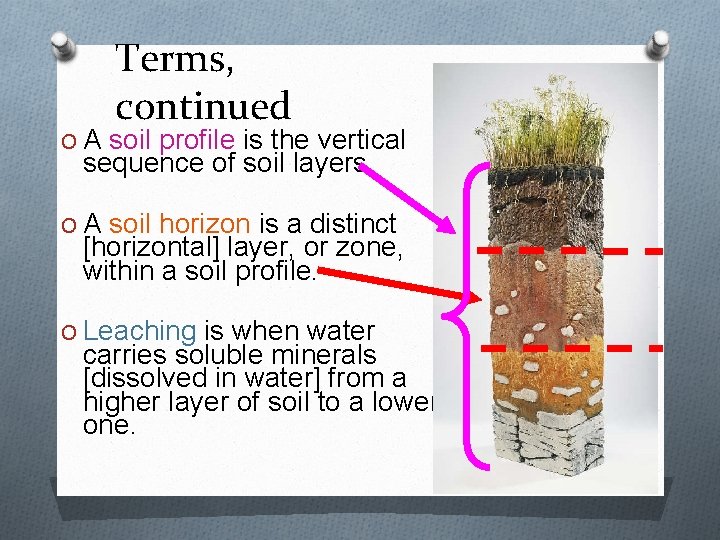 Terms, continued O A soil profile is the vertical sequence of soil layers. O