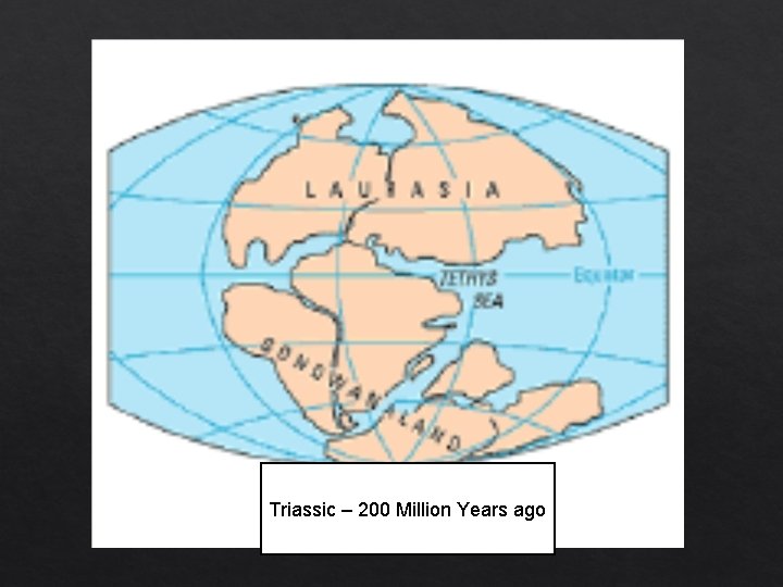 Triassic – 200 Million Years ago 