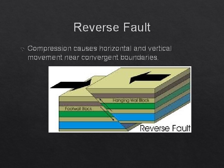 Reverse Fault Compression causes horizontal and vertical movement near convergent boundaries. 